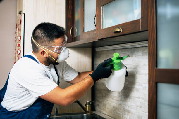 Best Local Pest Control Services  in Escanaba, MI