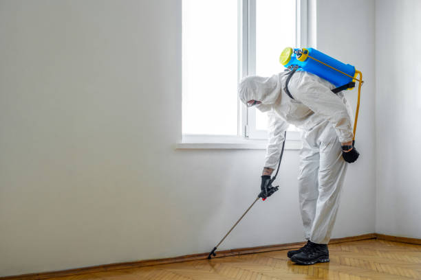 Best Best Pest Control Companies  in Escanaba, MI