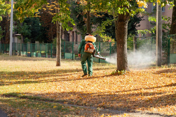 Best Wasp Removal Services  in Escanaba, MI