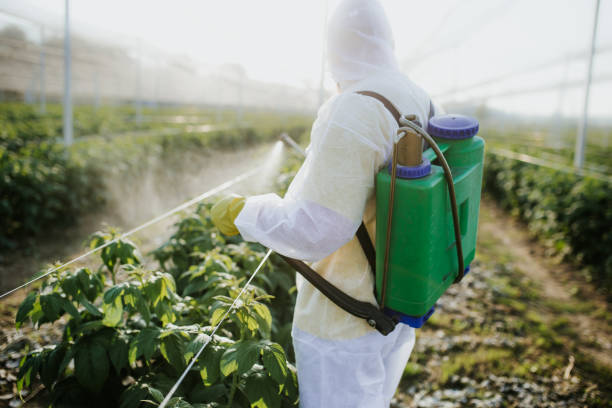 Best Exterminator Services  in Escanaba, MI